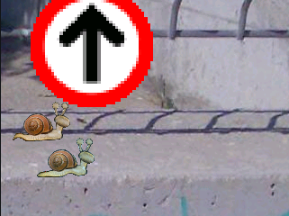 Snails Race.png